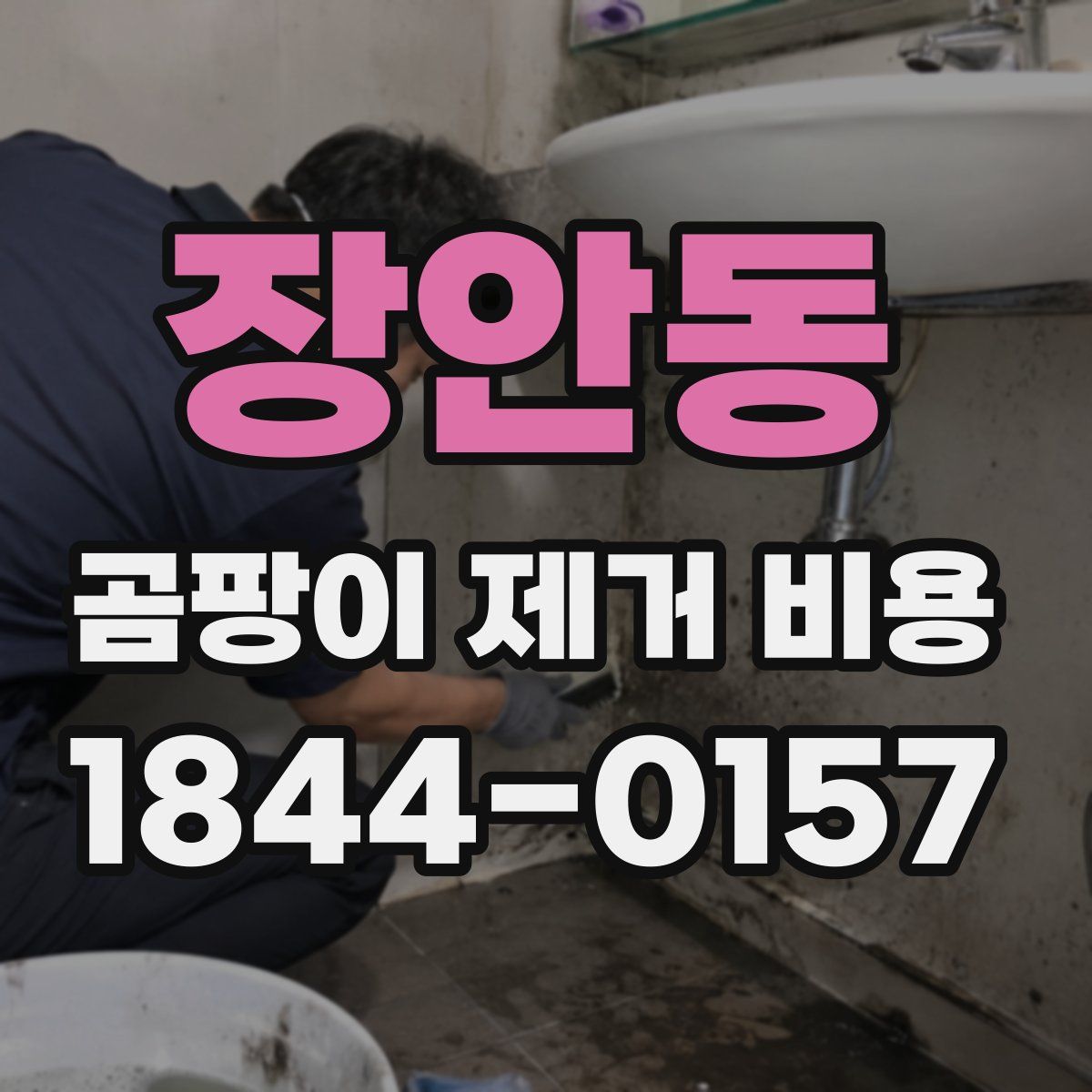 장안동 곰팡이 제거 비용
