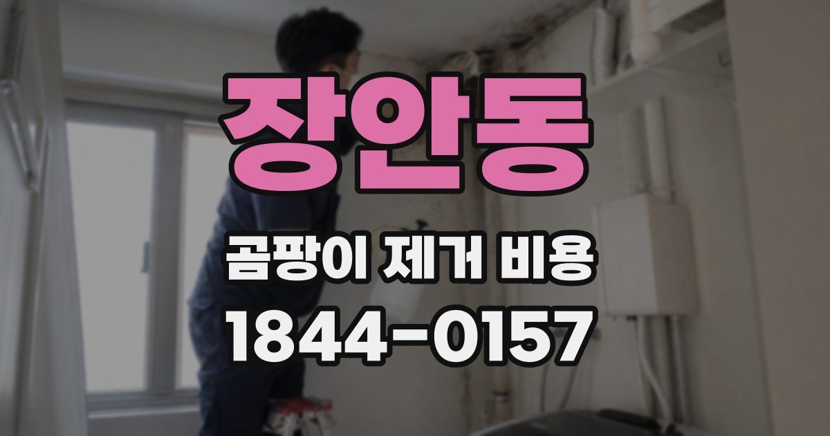 장안동 곰팡이 제거 비용