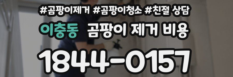 이충동 곰팡이 제거 비용