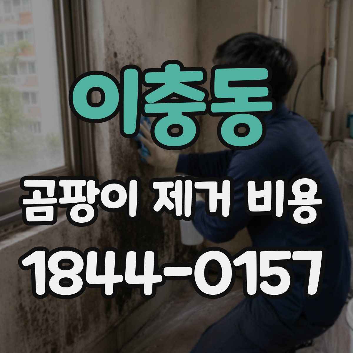 이충동 곰팡이 제거 비용