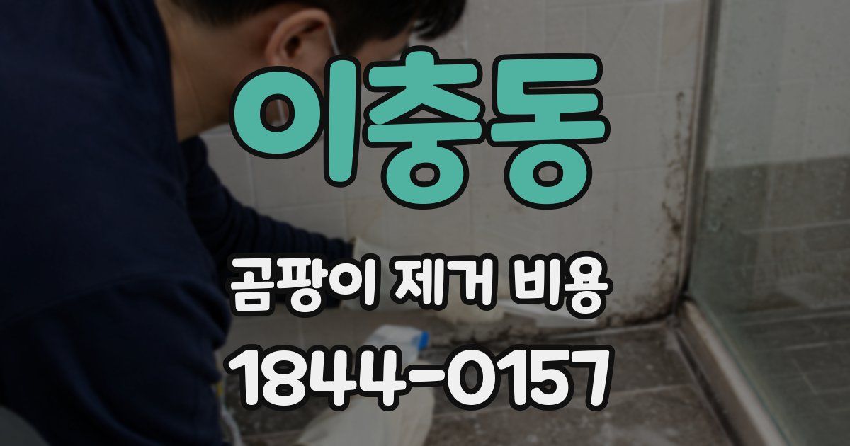 이충동 곰팡이 제거 비용