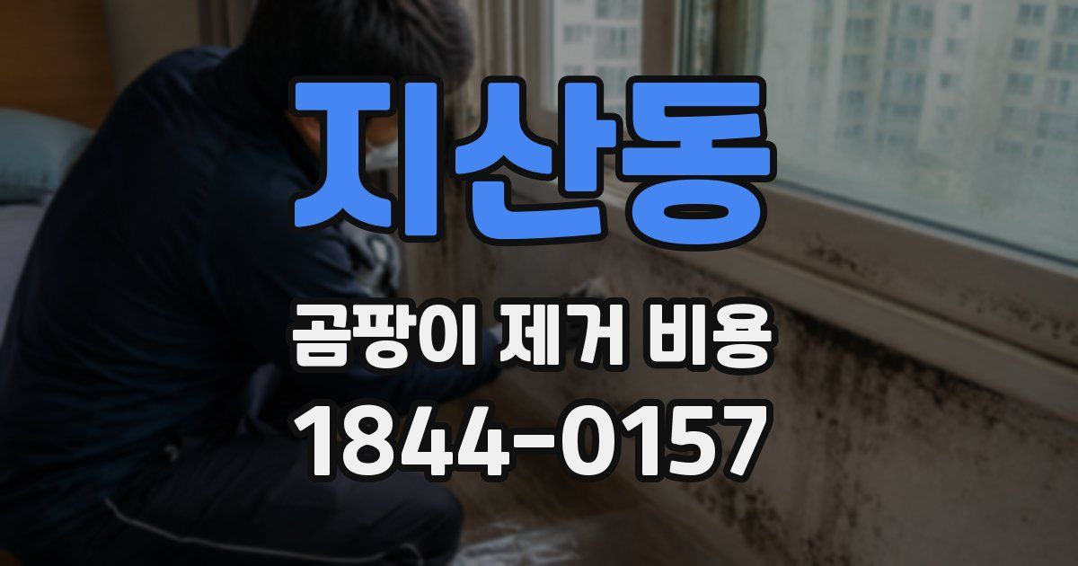 지산동 곰팡이 제거 비용