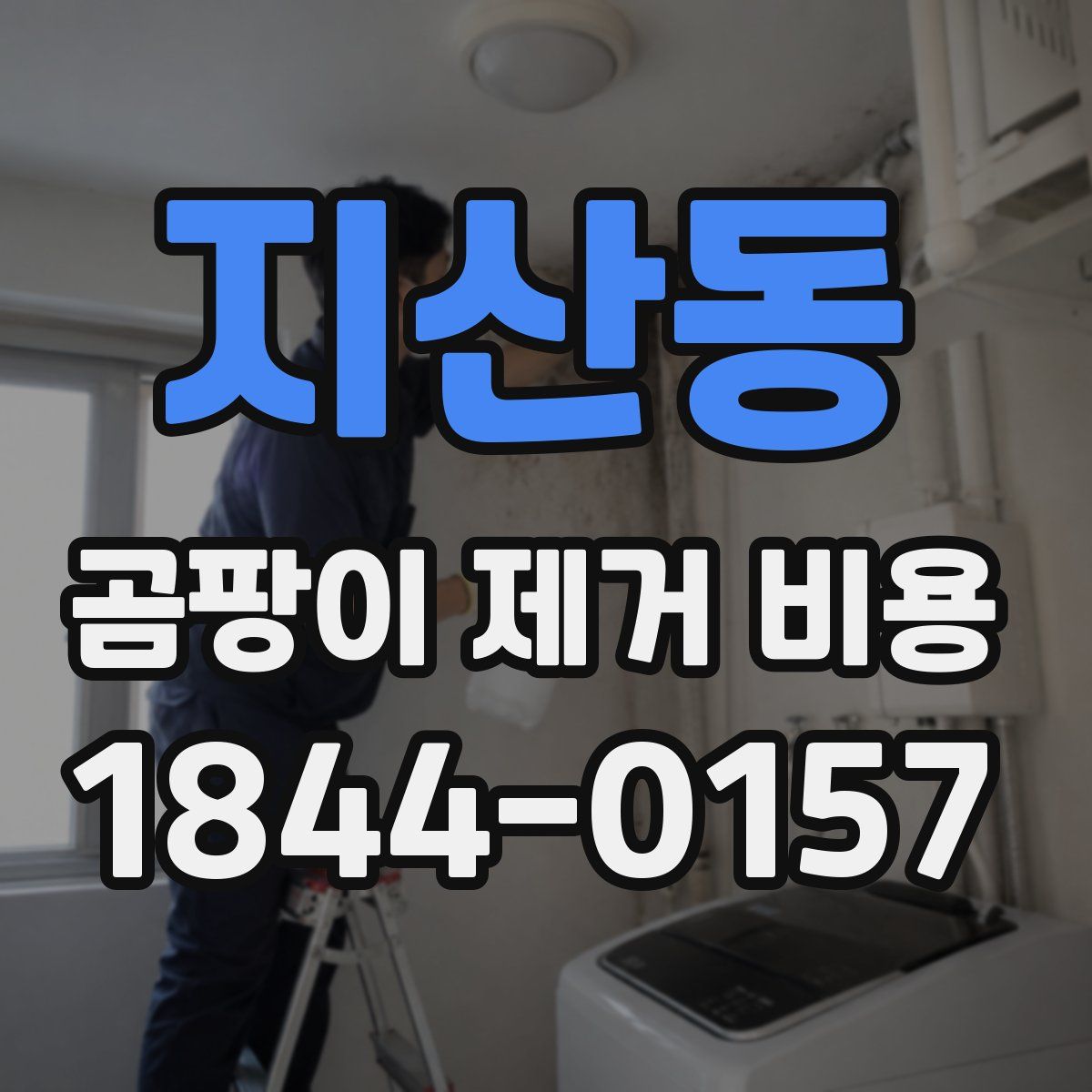 지산동 곰팡이 제거 비용