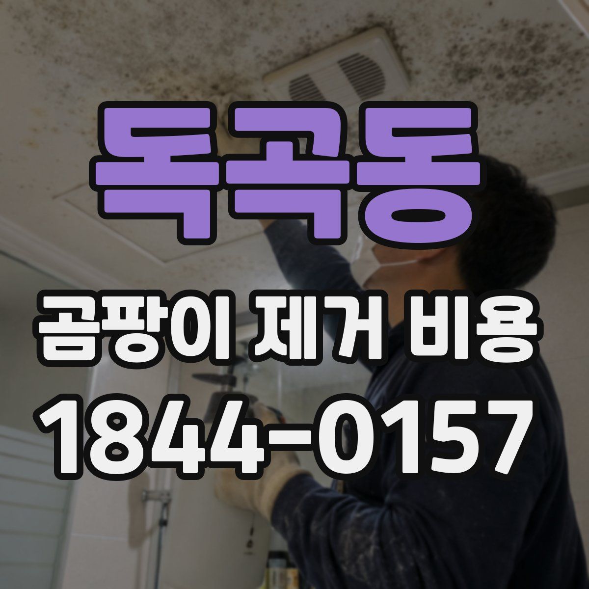 독곡동 곰팡이 제거 비용