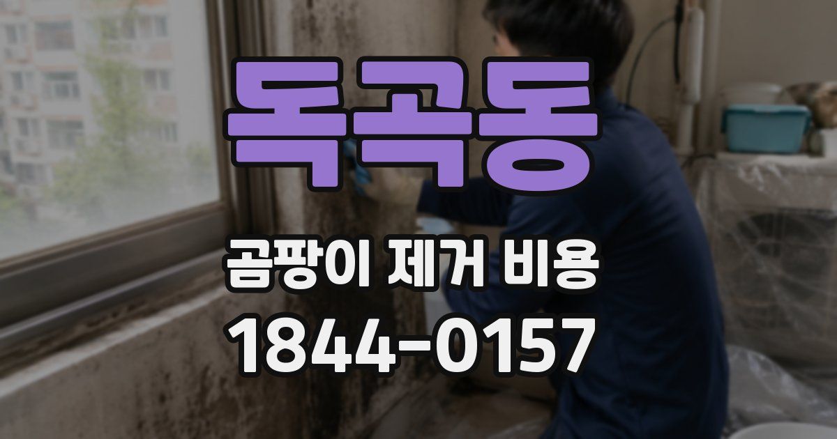 독곡동 곰팡이 제거 비용