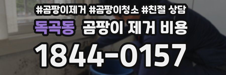 독곡동 곰팡이 제거 비용
