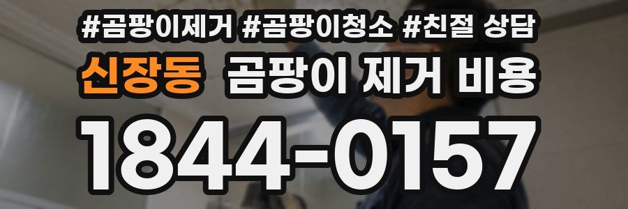 신장동 곰팡이 제거 비용