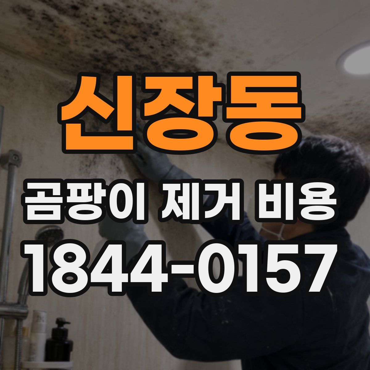 신장동 곰팡이 제거 비용