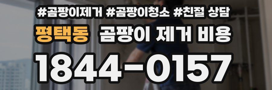 평택동 곰팡이 제거 비용