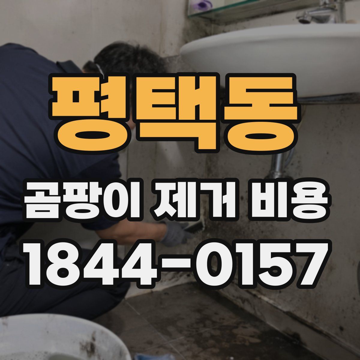 평택동 곰팡이 제거 비용