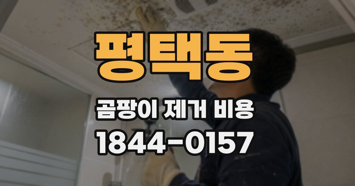 평택동 곰팡이 제거 비용
