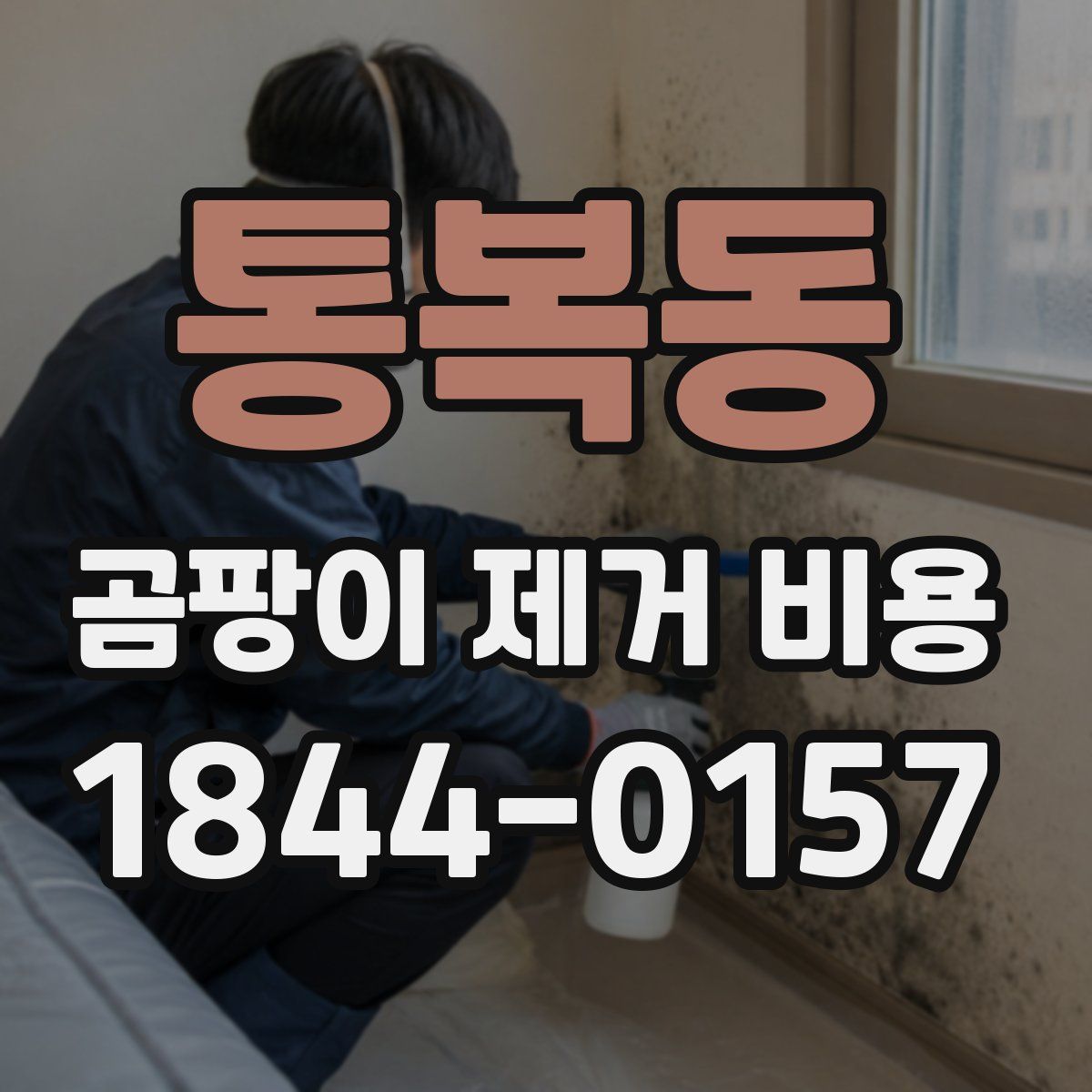 통복동 곰팡이 제거 비용