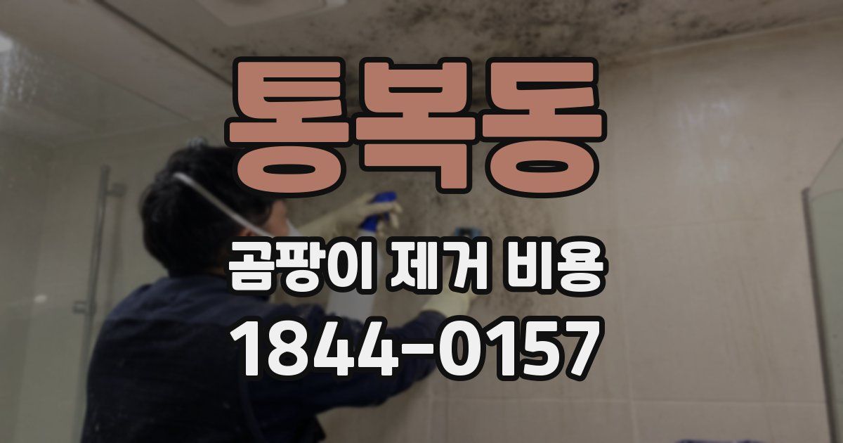 통복동 곰팡이 제거 비용