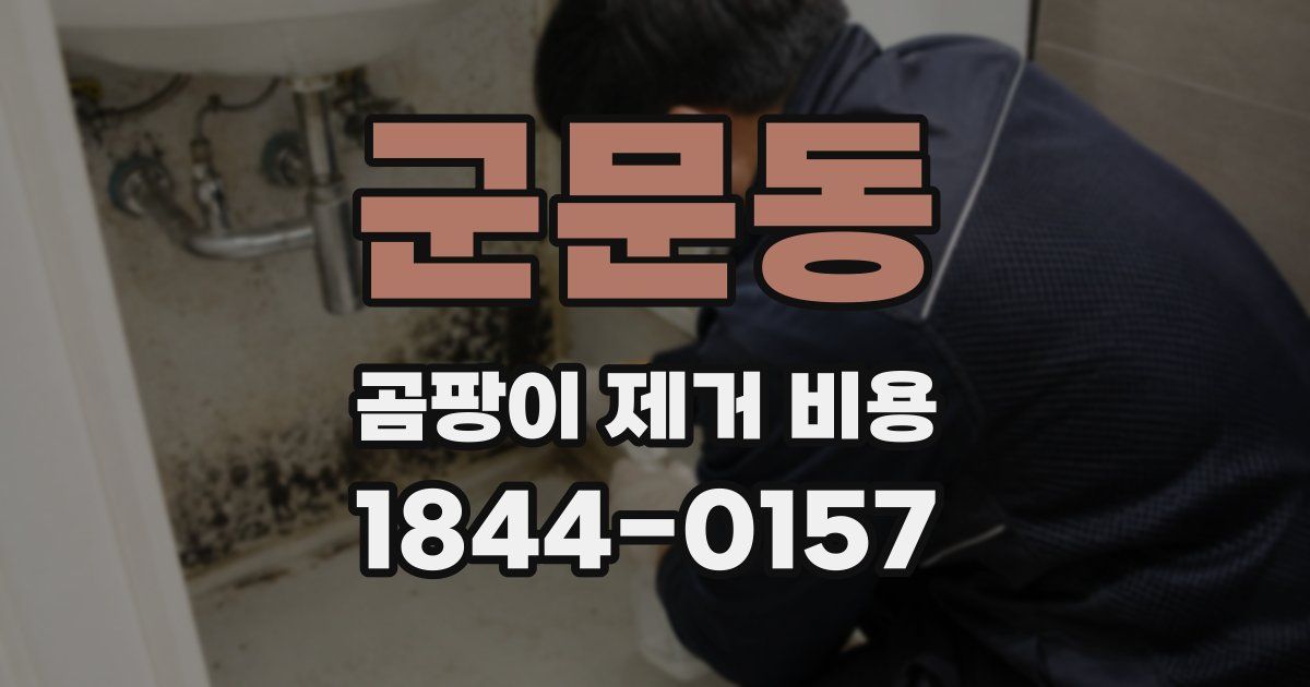군문동 곰팡이 제거 비용