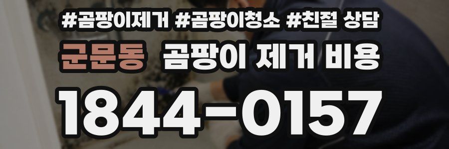 군문동 곰팡이 제거 비용