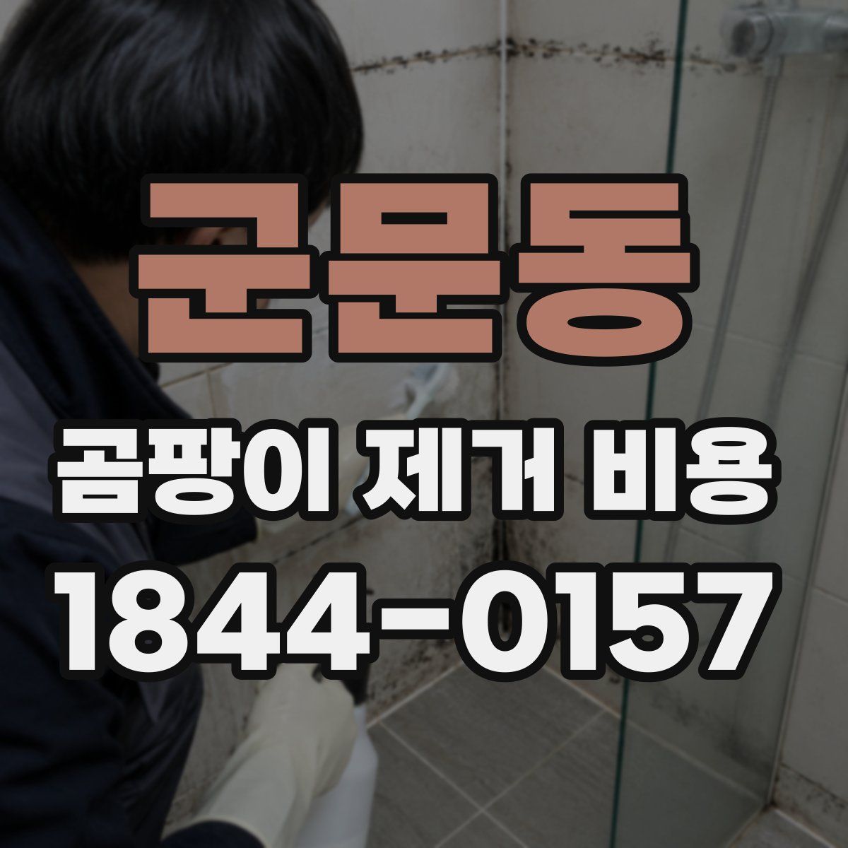 군문동 곰팡이 제거 비용
