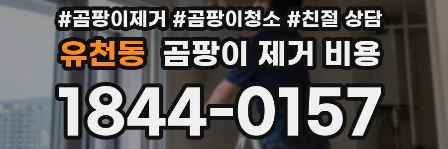 유천동 곰팡이 제거 비용