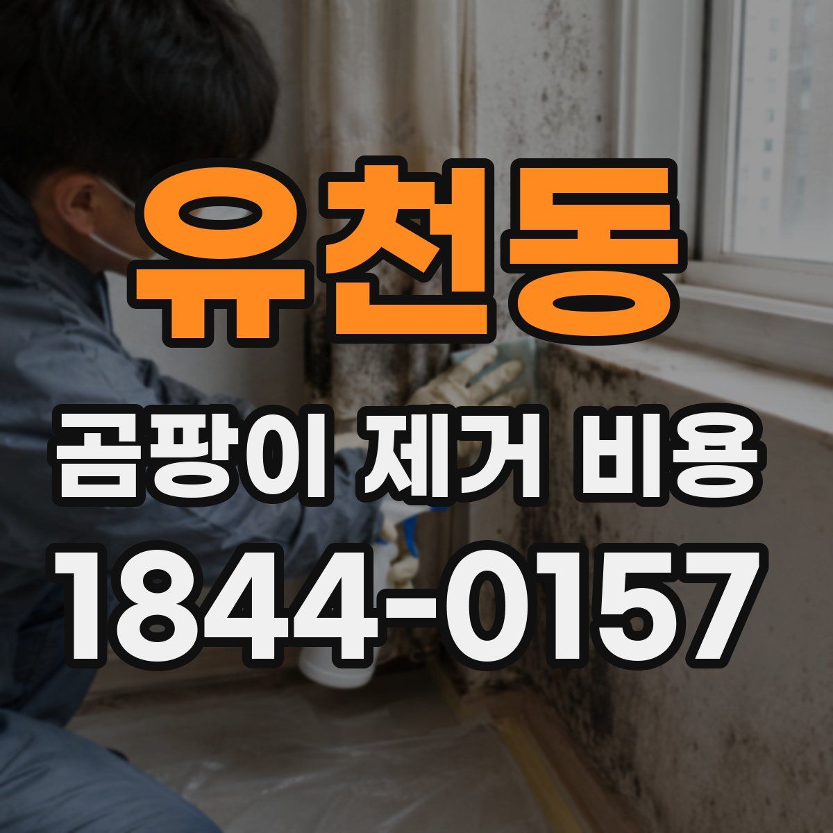 유천동 곰팡이 제거 비용