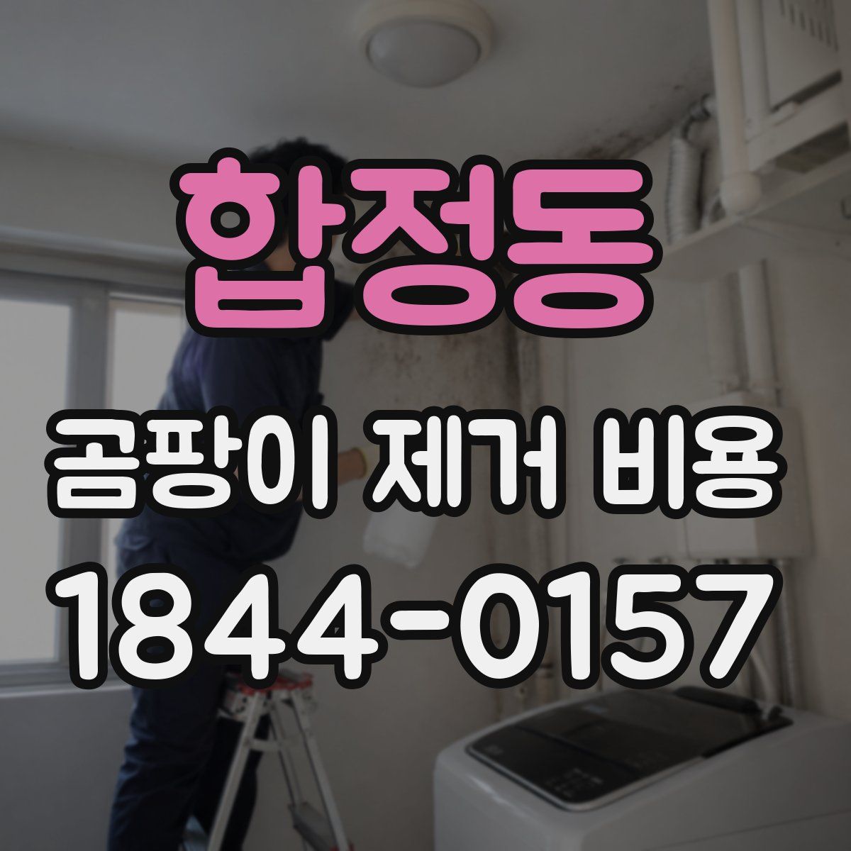 합정동 곰팡이 제거 비용