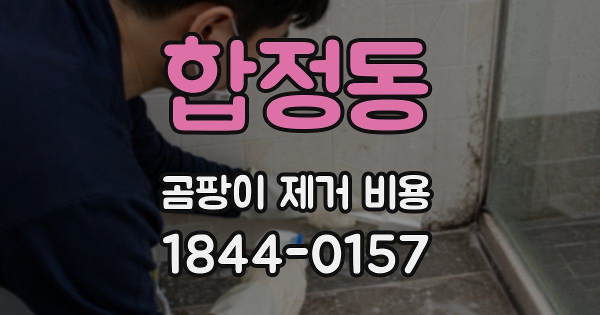 합정동 곰팡이 제거 비용