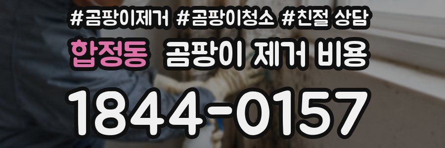 합정동 곰팡이 제거 비용