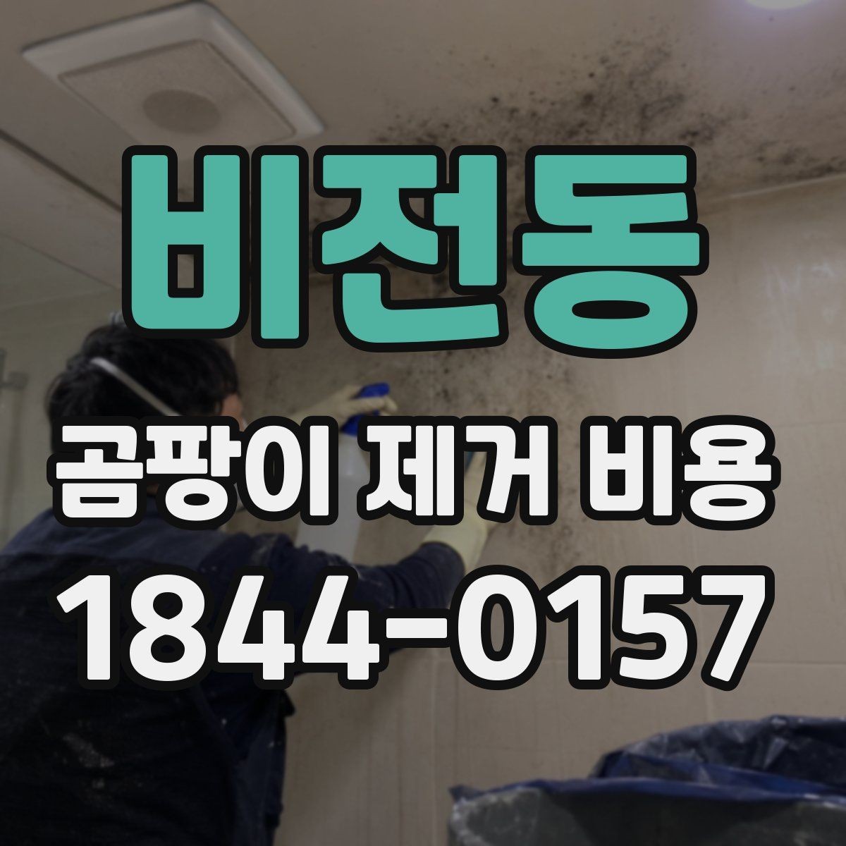 비전동 곰팡이 제거 비용 방 종류에 따라 작업이 달라지는 이유