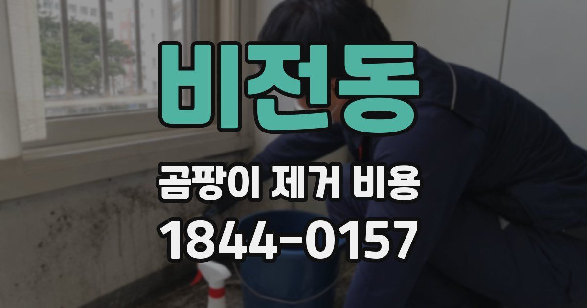 비전동 곰팡이 제거 비용
