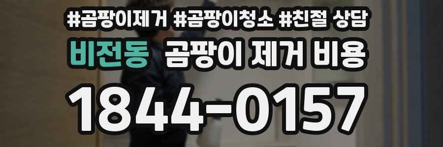 비전동 곰팡이 제거 비용