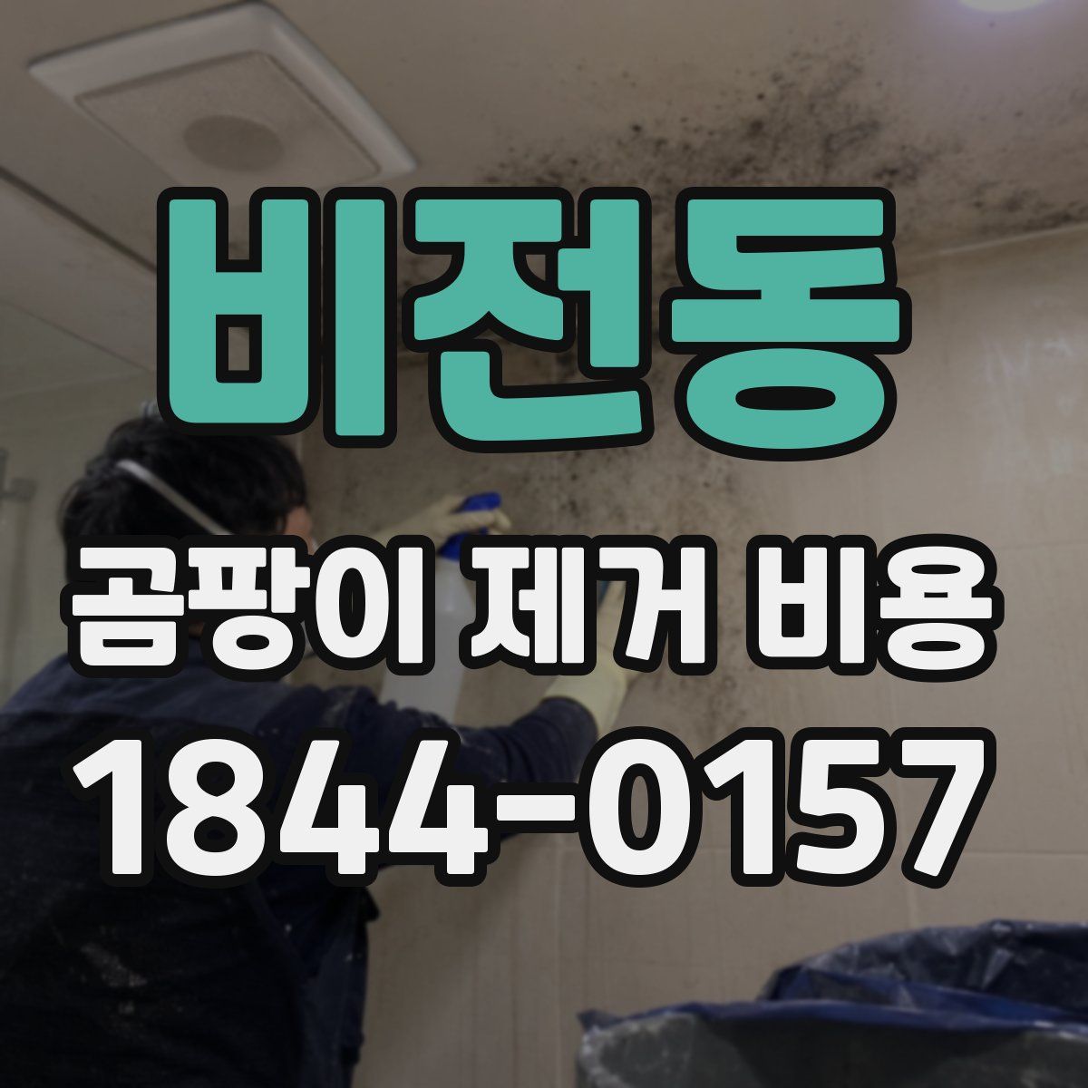 비전동 곰팡이 제거 비용