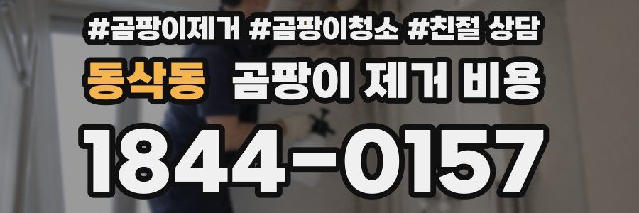 동삭동 곰팡이 제거 비용