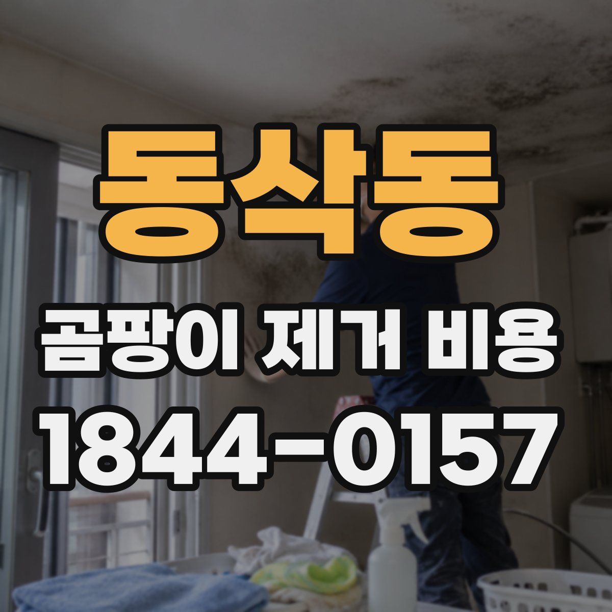 동삭동 곰팡이 제거 비용