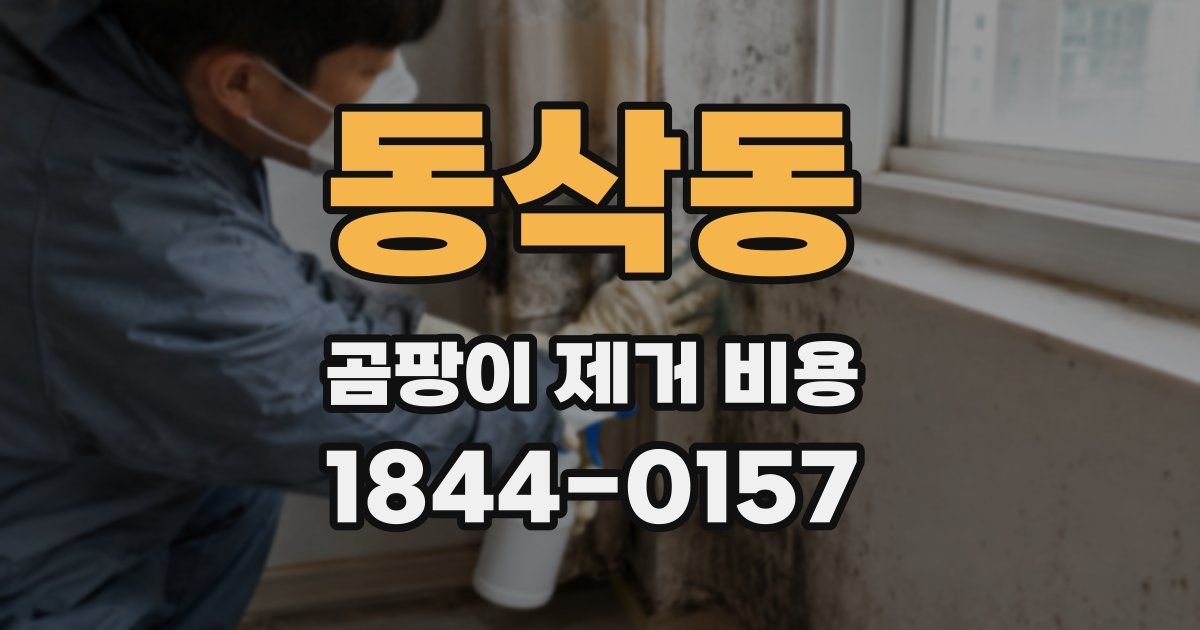 동삭동 곰팡이 제거 비용