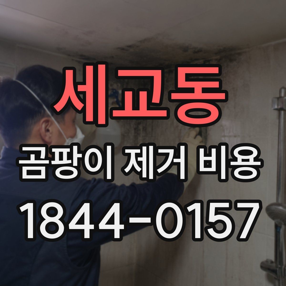 세교동 곰팡이 제거 비용 산정 시 제외되는 항목 확인