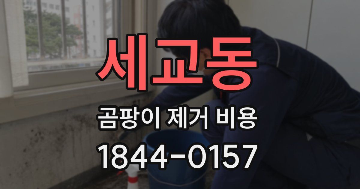세교동 곰팡이 제거 비용