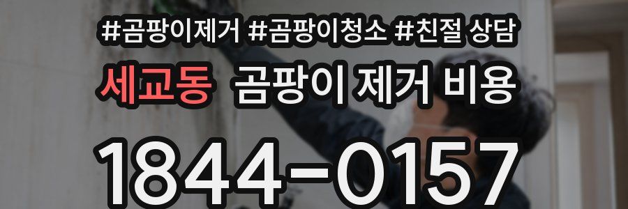 세교동 곰팡이 제거 비용