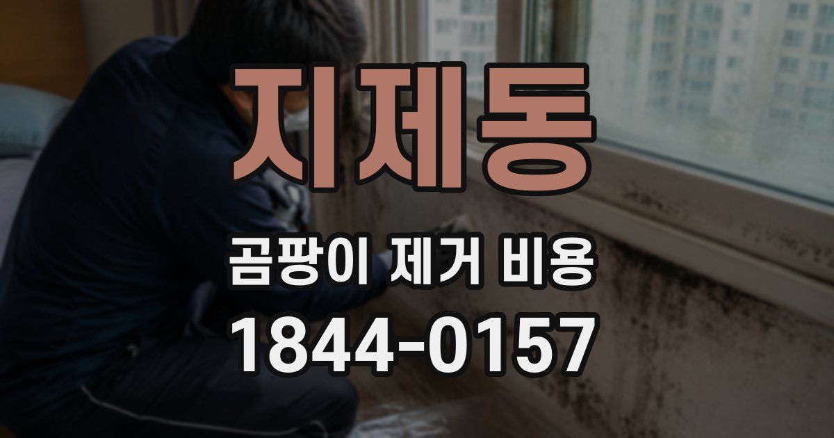 지제동 곰팡이 제거 비용