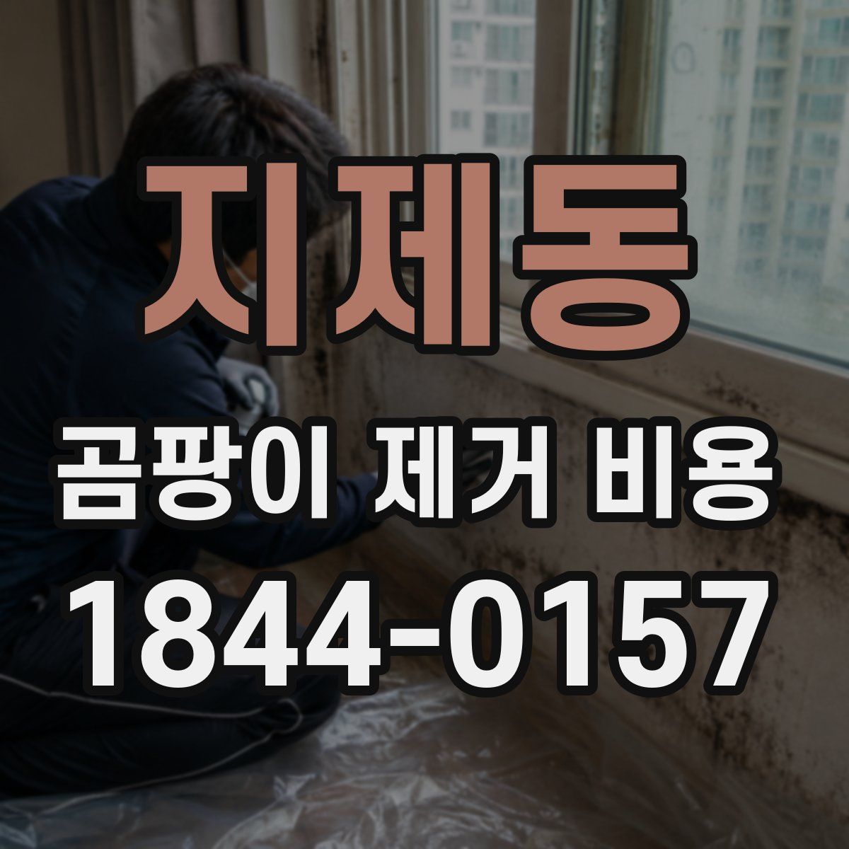 지제동 곰팡이 제거 비용