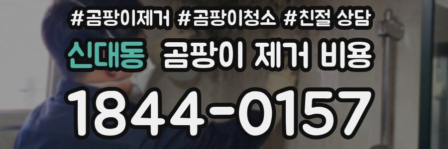 신대동 곰팡이 제거 비용
