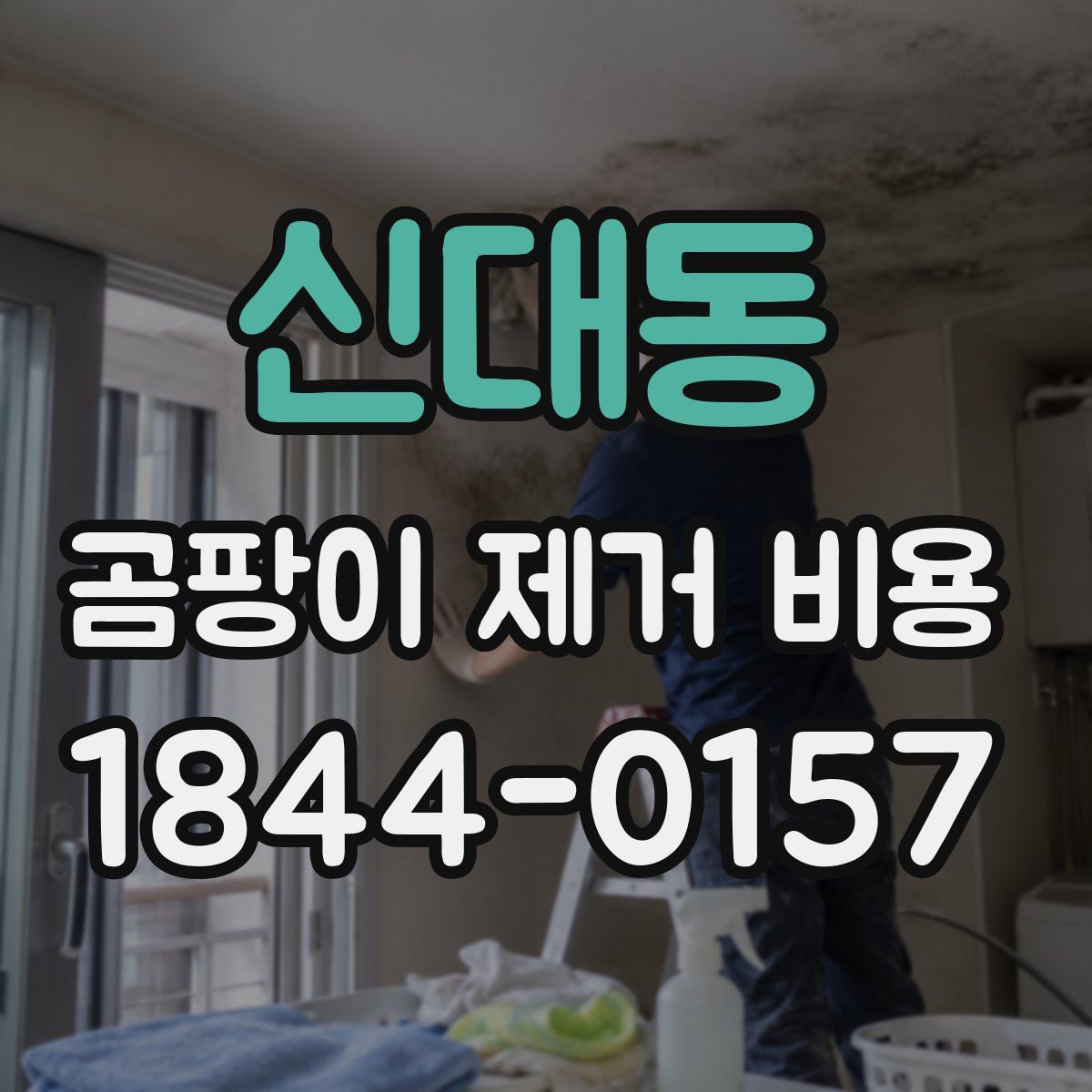 신대동 곰팡이 제거 비용