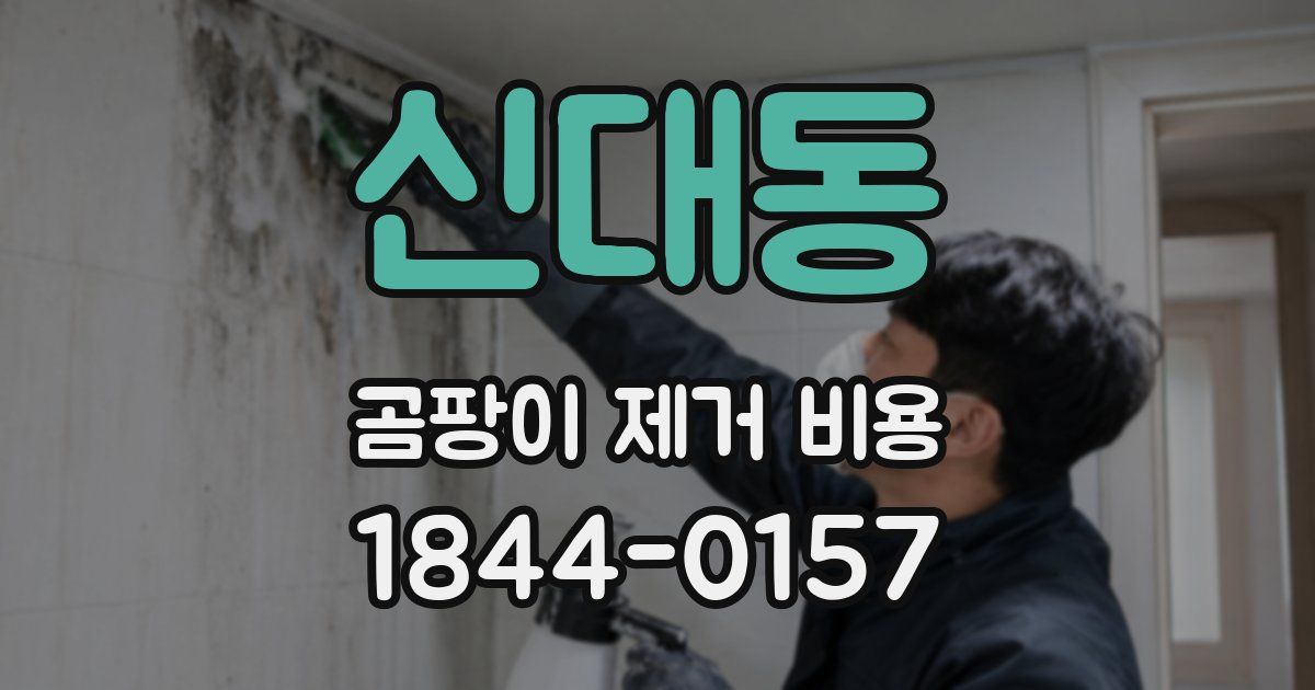 신대동 곰팡이 제거 비용