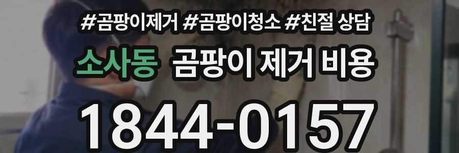 소사동 곰팡이 제거 비용