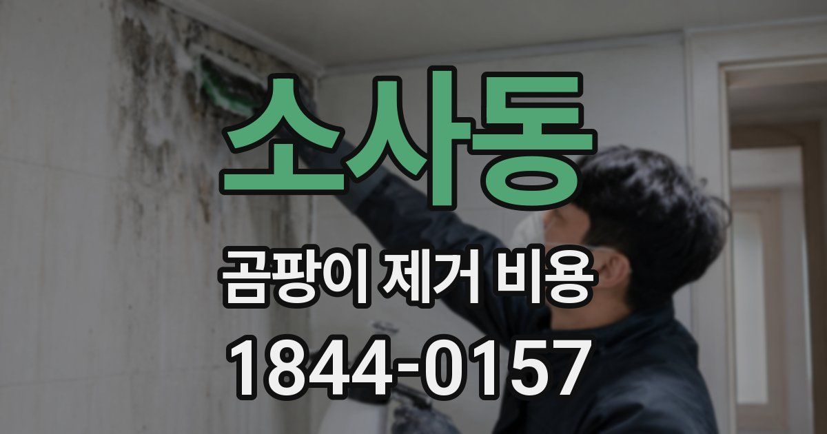 소사동 곰팡이 제거 비용