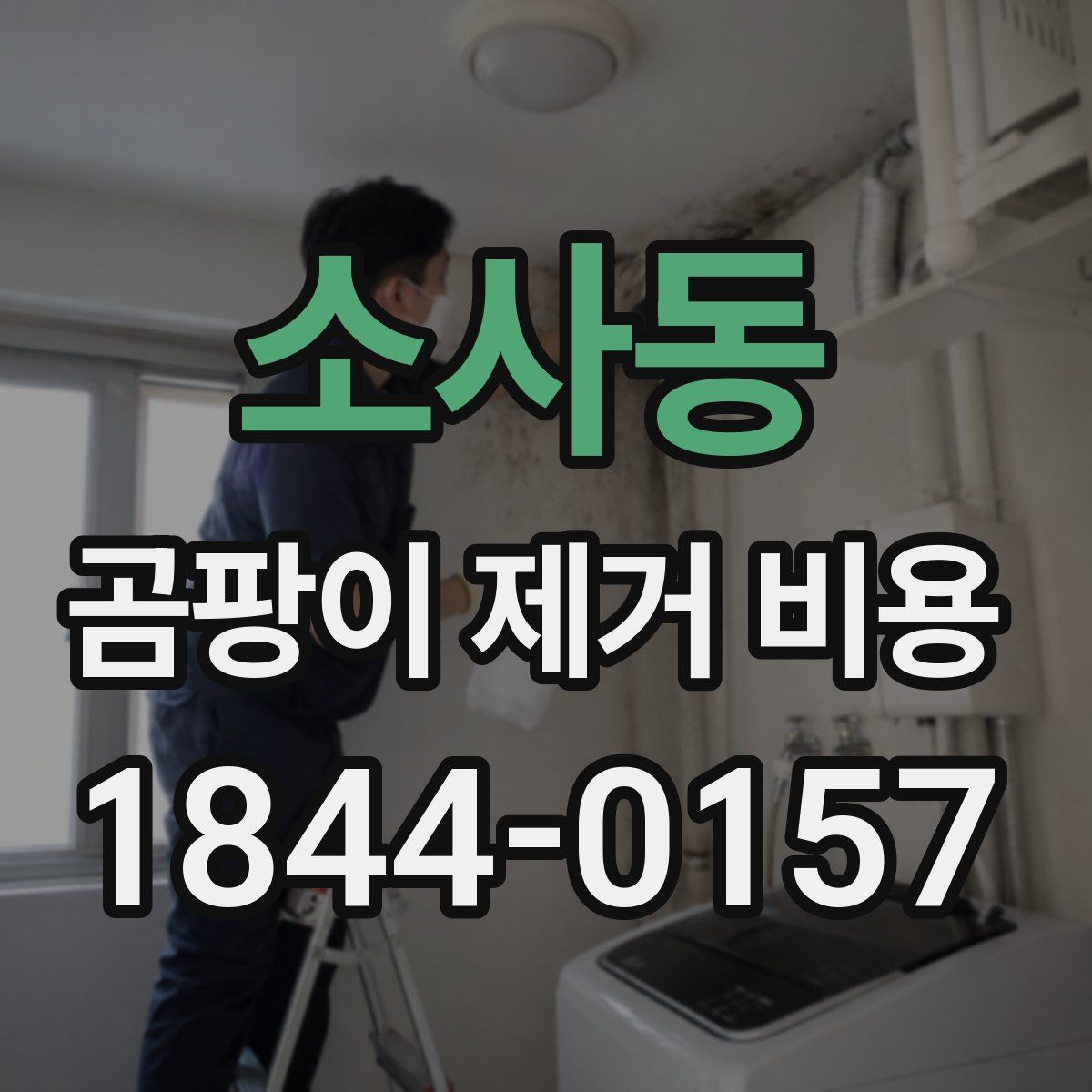 소사동 곰팡이 제거 비용