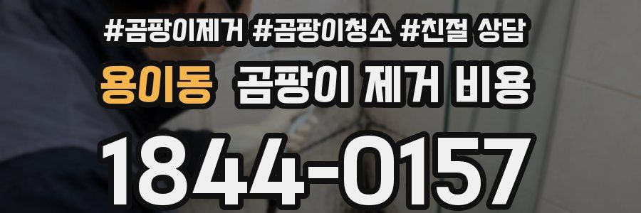 용이동 곰팡이 제거 비용