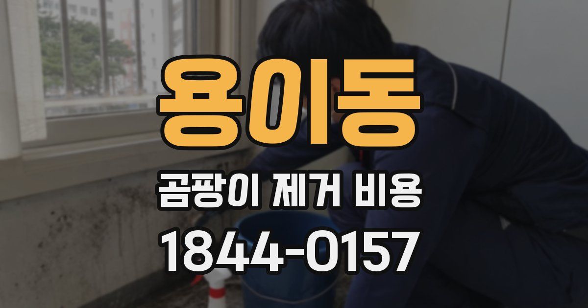 용이동 곰팡이 제거 비용