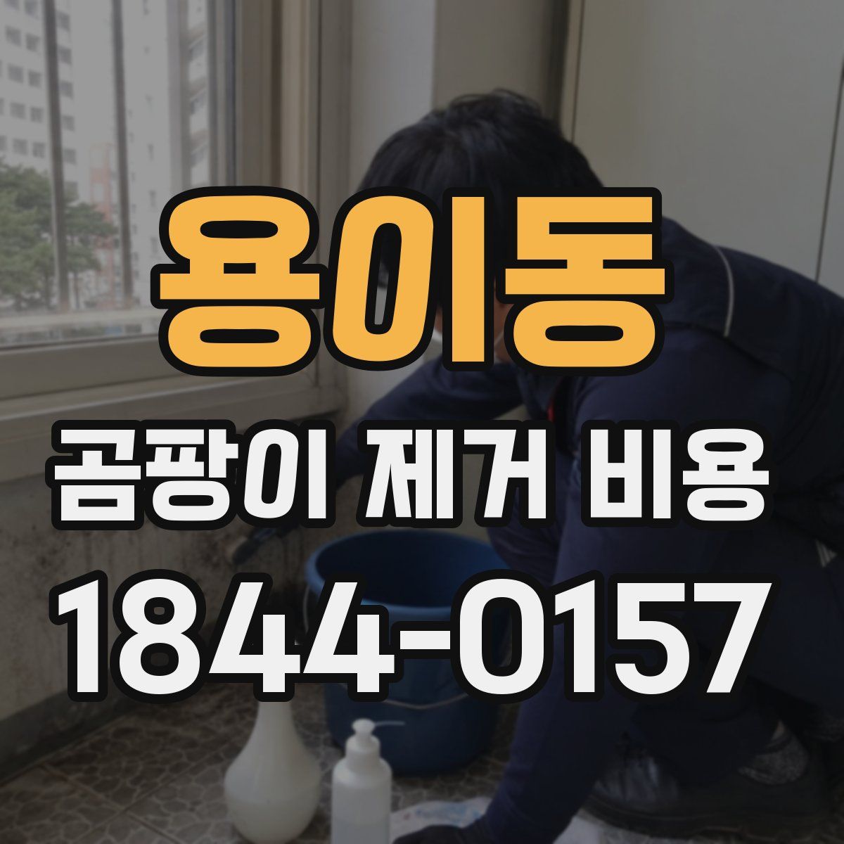 용이동 곰팡이 제거 비용