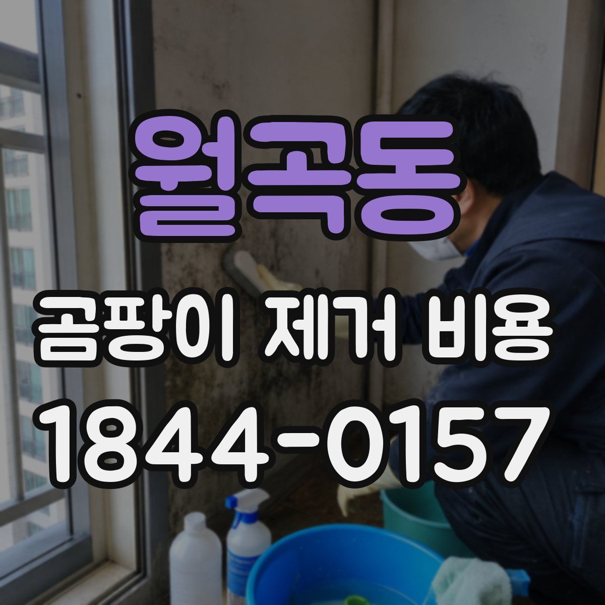 월곡동 곰팡이 제거 비용