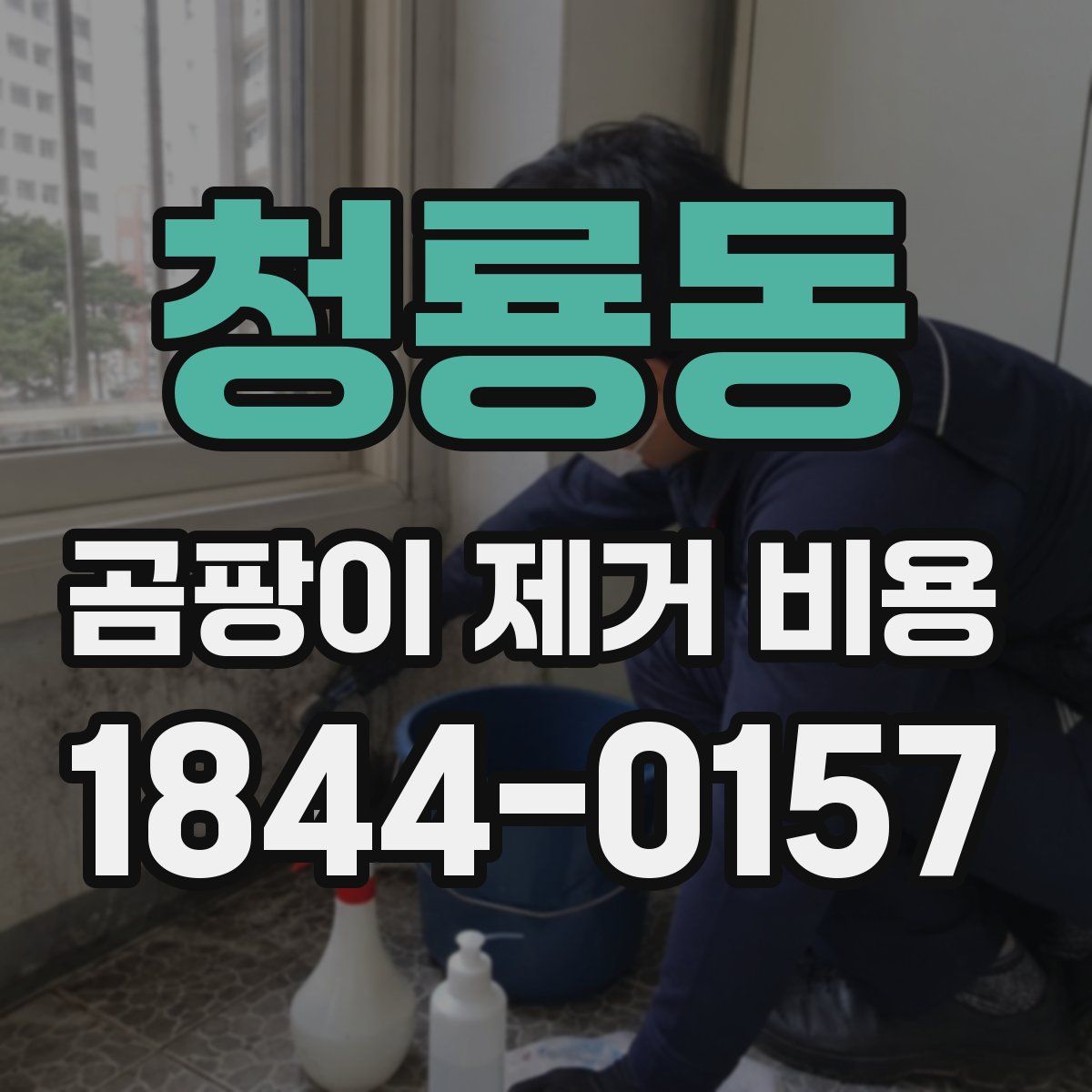 청룡동 곰팡이 제거 비용