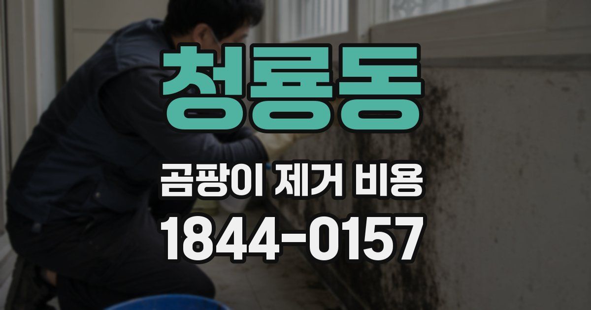 청룡동 곰팡이 제거 비용