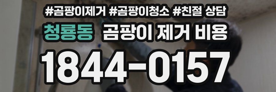 청룡동 곰팡이 제거 비용